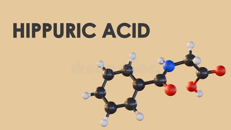 A 3D rendering of Hippuric Acid\'s molecular structure. vector illustration
