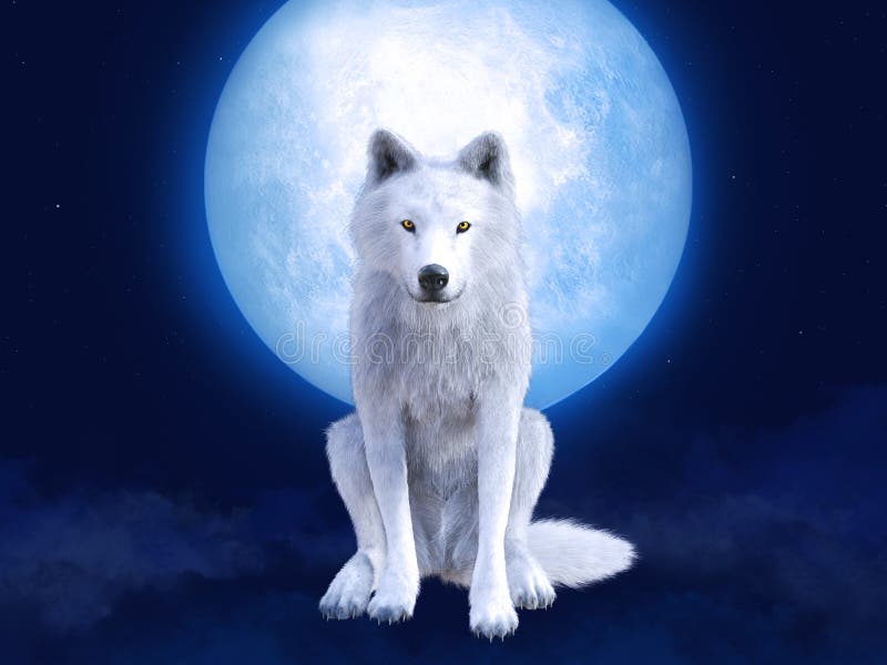 3D Rendering of a Majestic White Wolf in Moonlight Stock Illustration -  Illustration of danger, sitting: 187079598