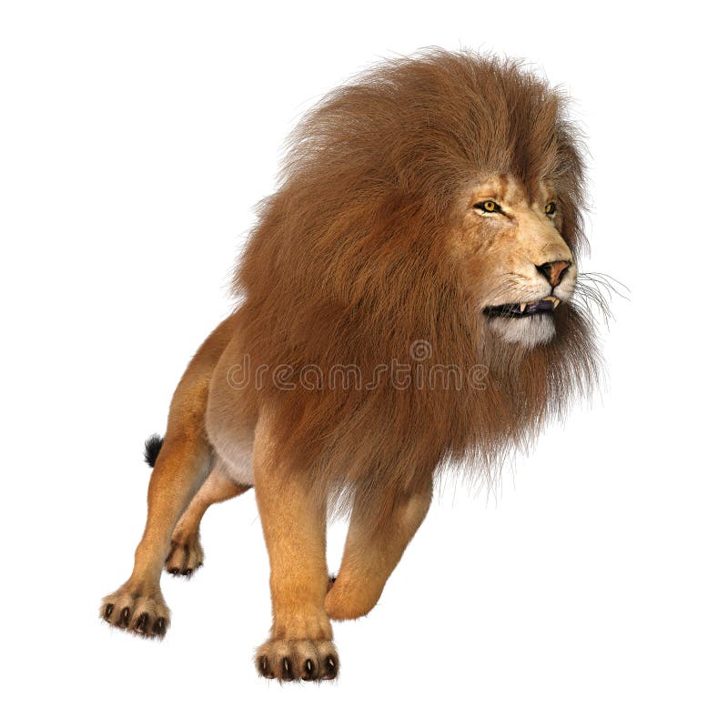 3D Rendering Male Lion on White Stock Illustration - Illustration of ...