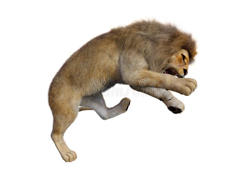 3D Rendering Male Lion on White vector illustration