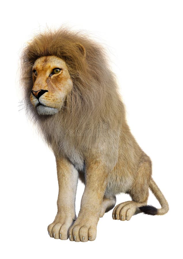 3D Rendering Male Lion On White Stock Illustration - Illustration of ...