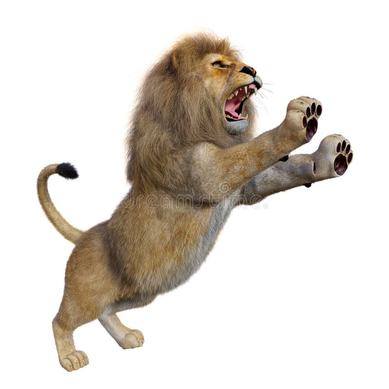3D Rendering Male Lion on White royalty free illustration