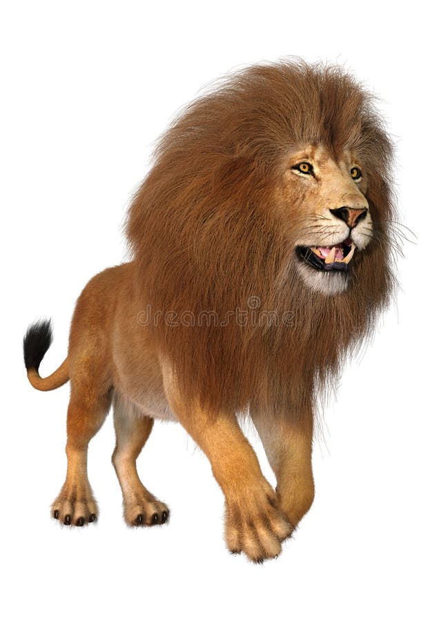 3D Rendering Male Lion on White royalty free illustration