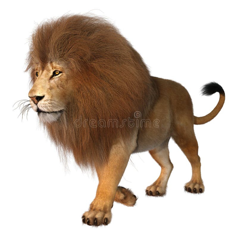 3D Rendering Male Lion on White vector illustration