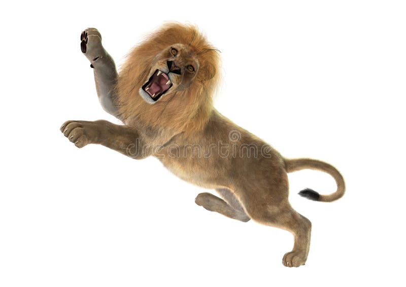 3D Rendering Male Lion on White vector illustration