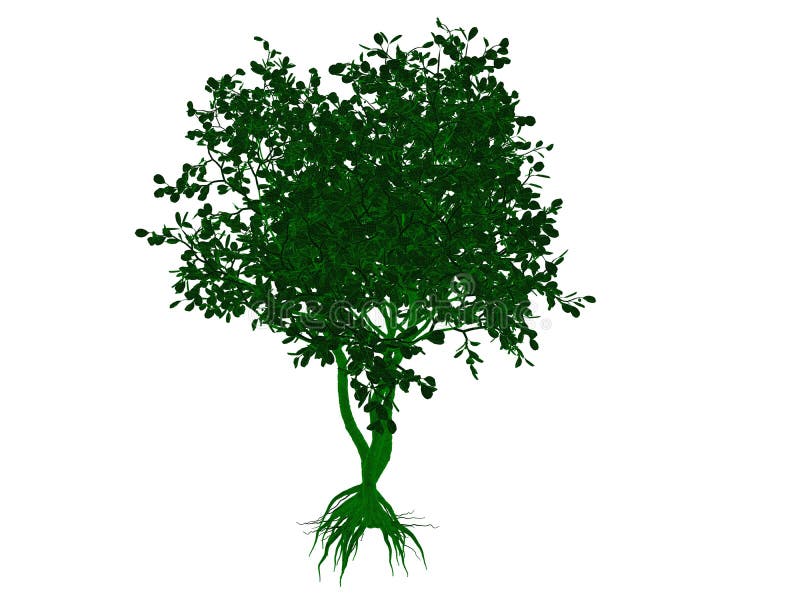 3d Rendering Of An Outlined Black Tree With Green Edges Isolated Stock