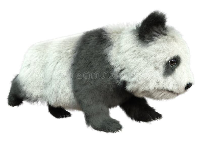 3D Rendering Panda Bear on White vektor abbildung