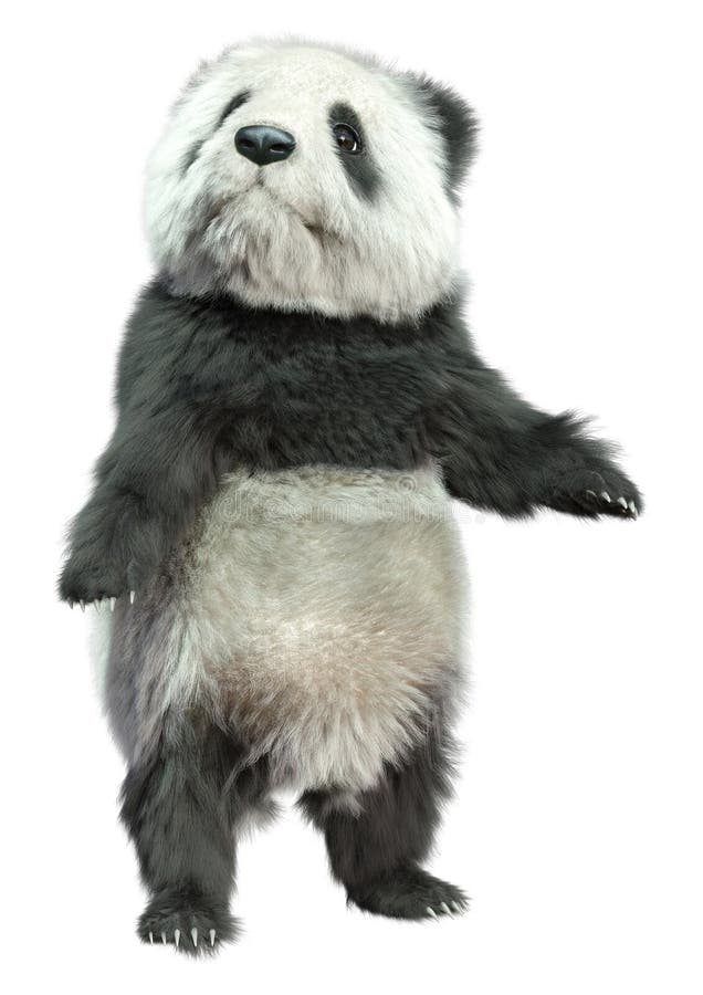 3D Rendering Panda Bear on White lizenzfreie abbildung