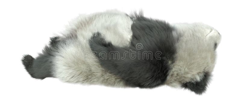 3D Rendering Panda Bear on White stock abbildung
