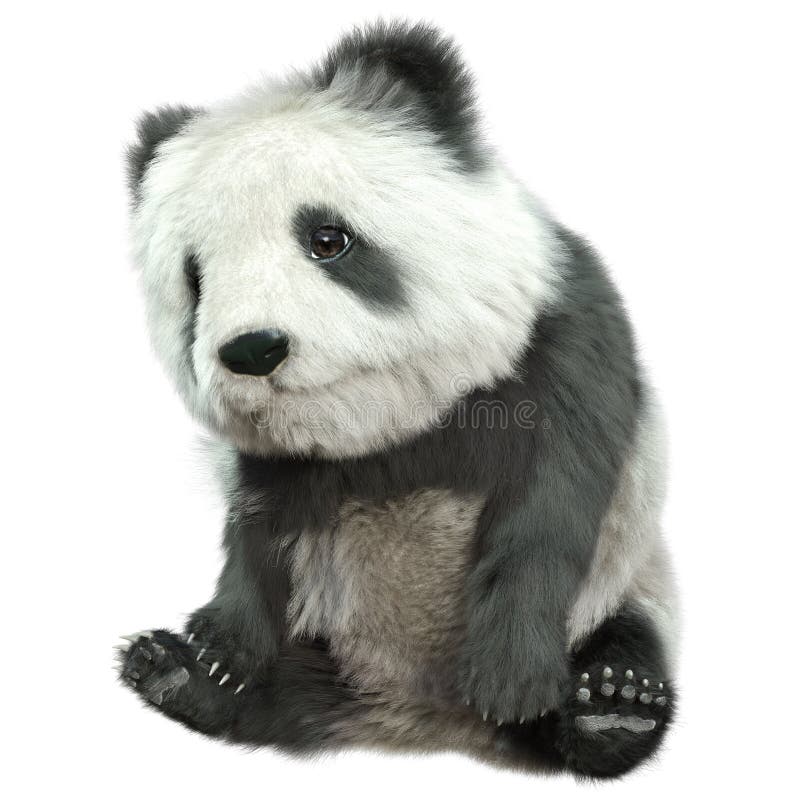 3D Rendering Panda Bear on White vektor abbildung