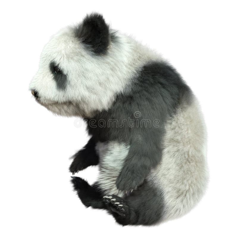 3D Rendering Panda Bear on White lizenzfreie abbildung