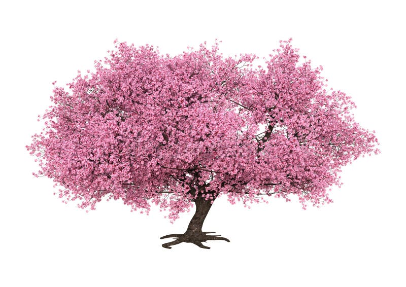 beautiful cherry blossom, sakura tree background, japanese spring  wallpaper, 3d render, 3d illustration Stock Illustration