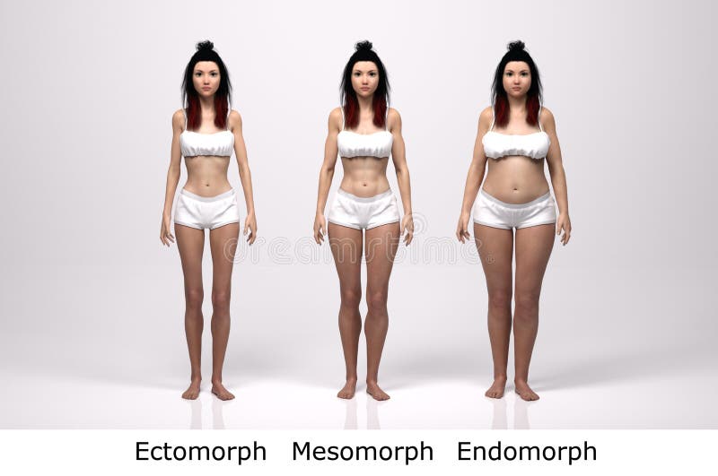 ecto mesomorph body type female ecto mesomorph body type female