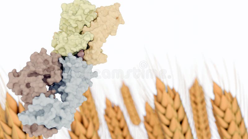 A 3d rendering of stalks of wheat and molecular structure of glutenins vector illustration