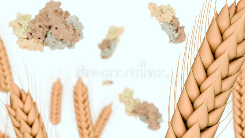 A 3d rendering of stalks of wheat and molecular structure of glutenins vector illustration