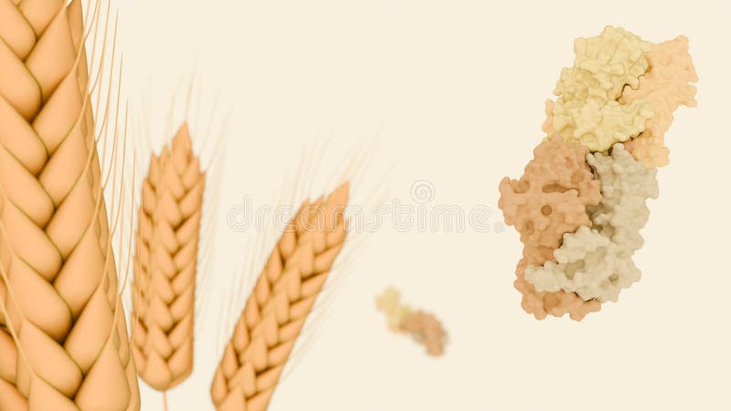 A 3d rendering of stalks of wheat and molecular structure of glutenins royalty free illustration