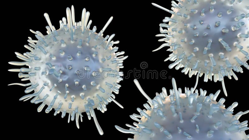 what are killer t cells also called