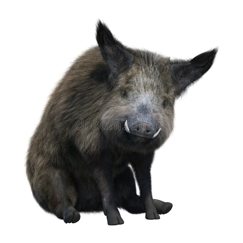 3D Rendering Wild Boar on White vector illustration