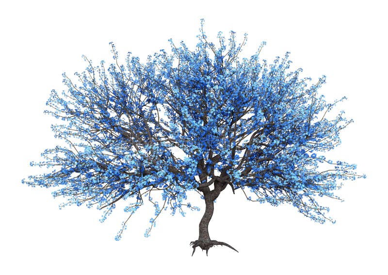 3D Renderowanie niebieskiego drzewa Sakura na bieli royalty ilustracja