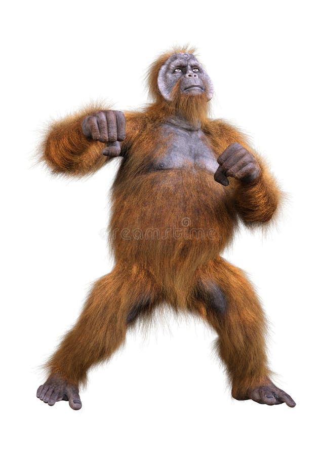 3d renderowanie orangutanu na biało ilustracji