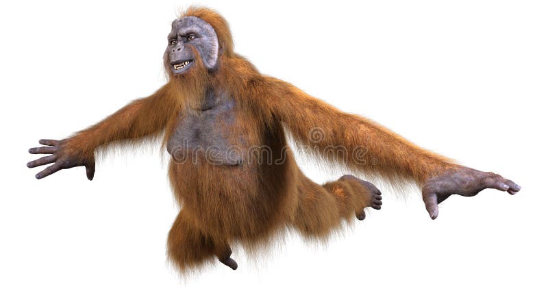 3d renderowanie orangutanu na biało ilustracja wektor