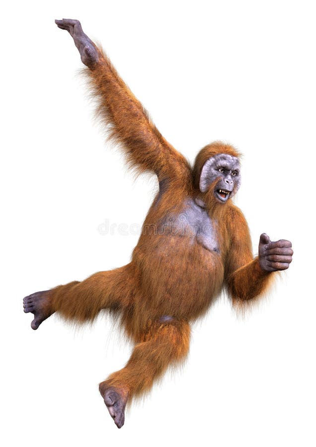 3d renderowanie orangutanu na biało ilustracji
