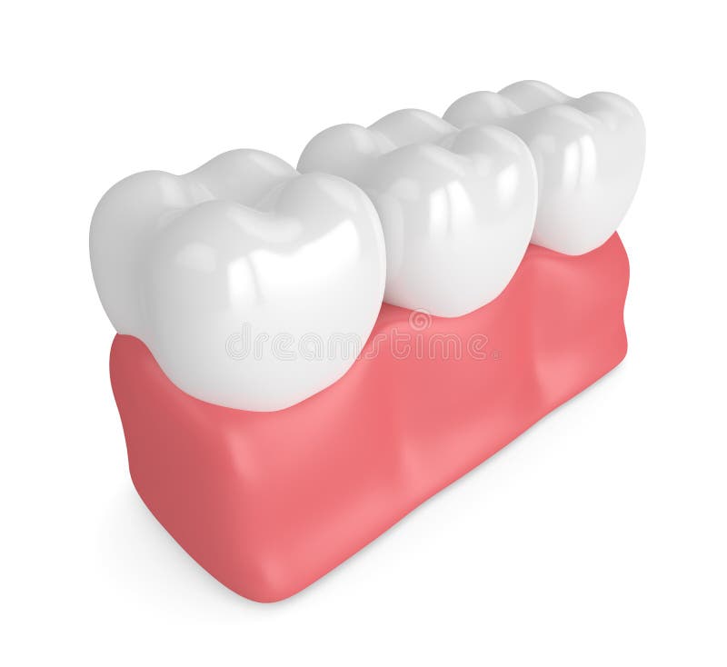 3d render of teeth in gums over white background. 3d render of teeth in gums over white background