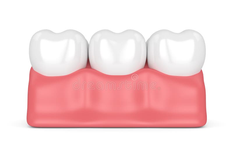 3d render of teeth in gums over white background. 3d render of teeth in gums over white background