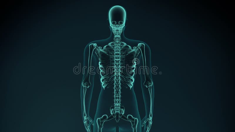3d a rendu l'illustration de l'les bras douloureux, épaule animation médicale de concept