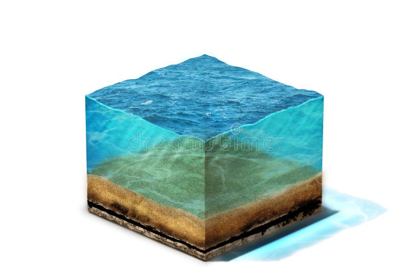 3d section of clean ocean water with bottom vector illustration