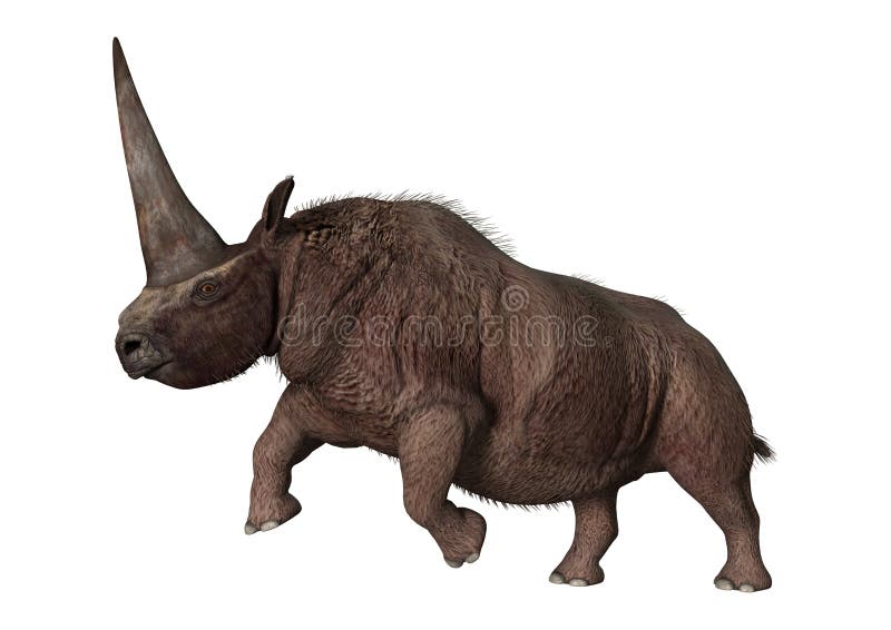 3D som framför Elasmotherium på vit royaltyfria bilder 3D som framför Elasmotherium på vit royaltyfria bilder