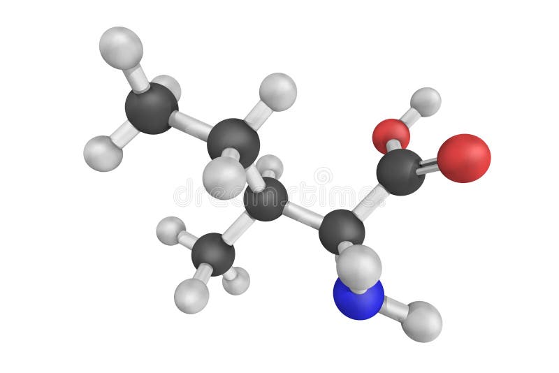 Amino acid structure