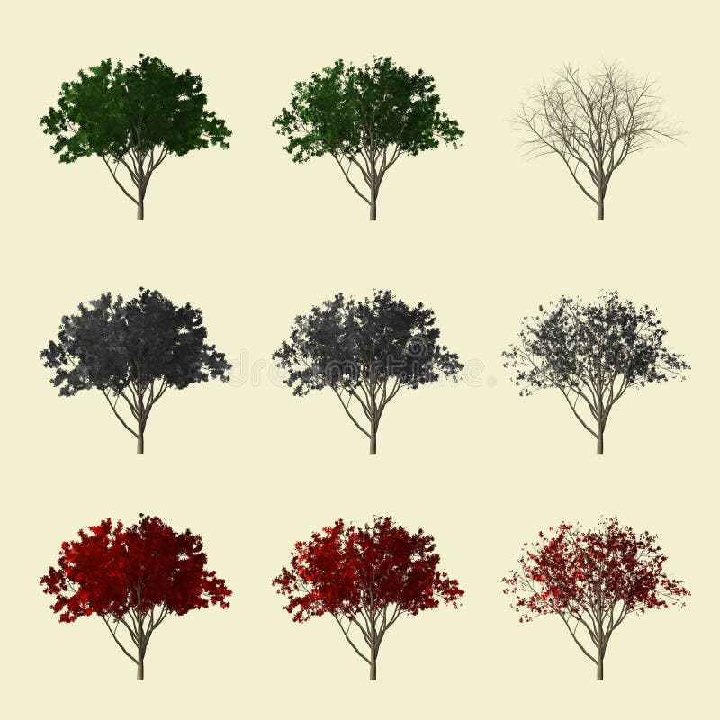 3d tree collection