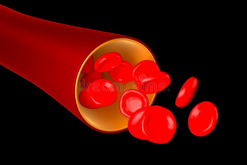 3D Vein, Red Blood Cells - Isolated on White Background Stock