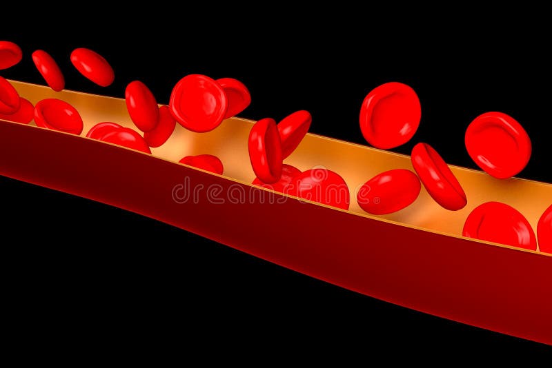 3D Vein, Red Blood Cells - Isolated on White Background Stock
