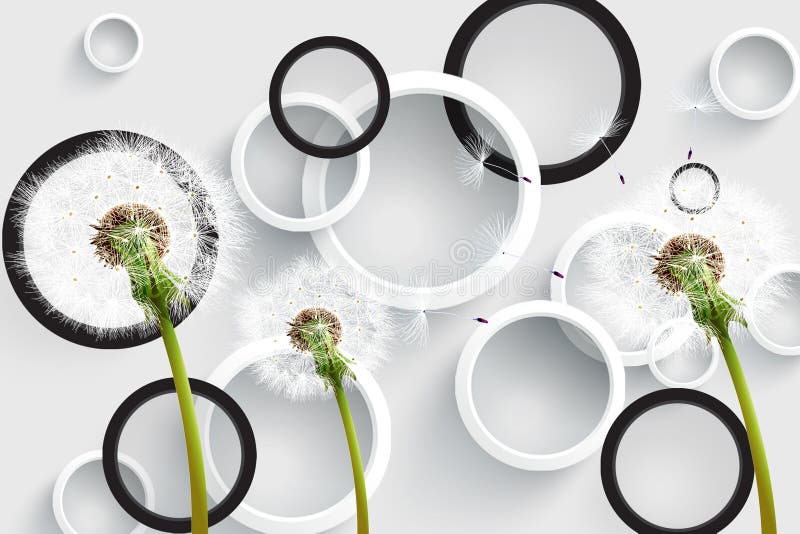 3d White gray and silver background with silhouettes of dandelions with circles , modern 3d render