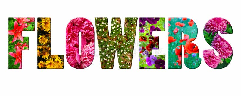 flower shaped word cloud text generator flower shaped word cloud text generator