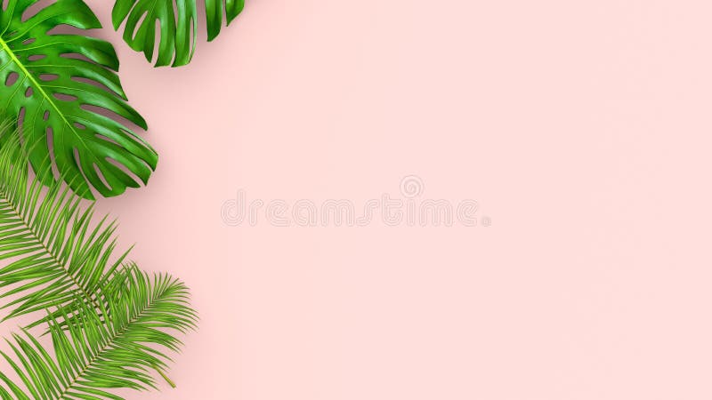 3D übertragen von den realistischen Palmblättern auf rosa Hintergrund für kosmetische Anzeigen- oder Modeillustration Tropischer