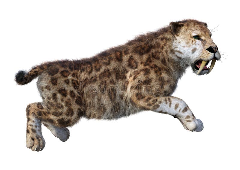 3D απόδοση τίγρης Sabertooth σε λευκό ελεύθερη απεικόνιση δικαιώματος