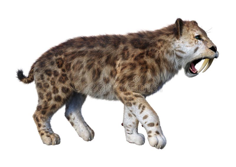 3D απόδοση τίγρης Sabertooth σε λευκό ελεύθερη απεικόνιση δικαιώματος
