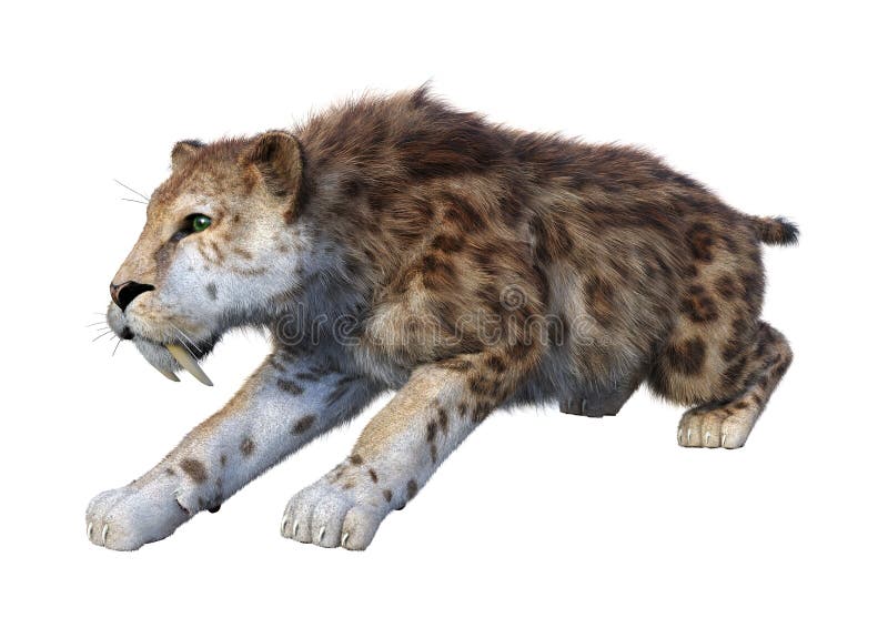 3D απόδοση τίγρης Sabertooth σε λευκό διανυσματική απεικόνιση