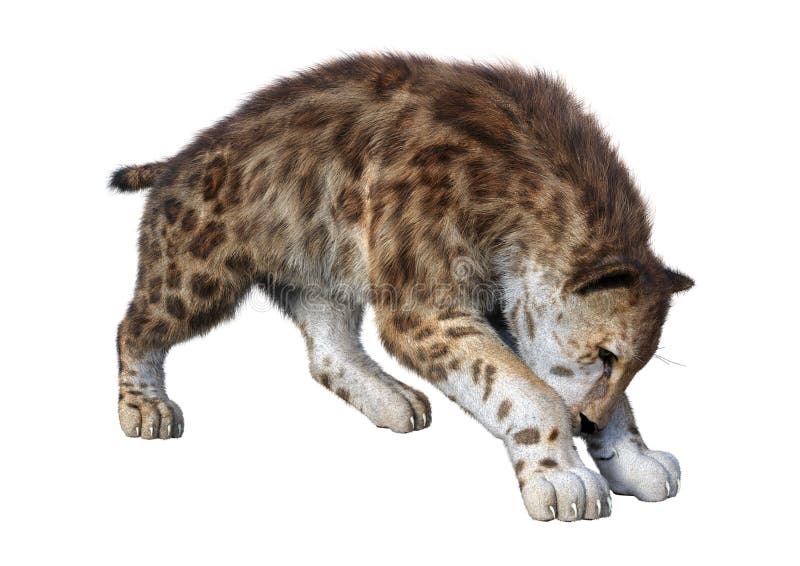 3D απόδοση τίγρης Sabertooth σε λευκό ελεύθερη απεικόνιση δικαιώματος