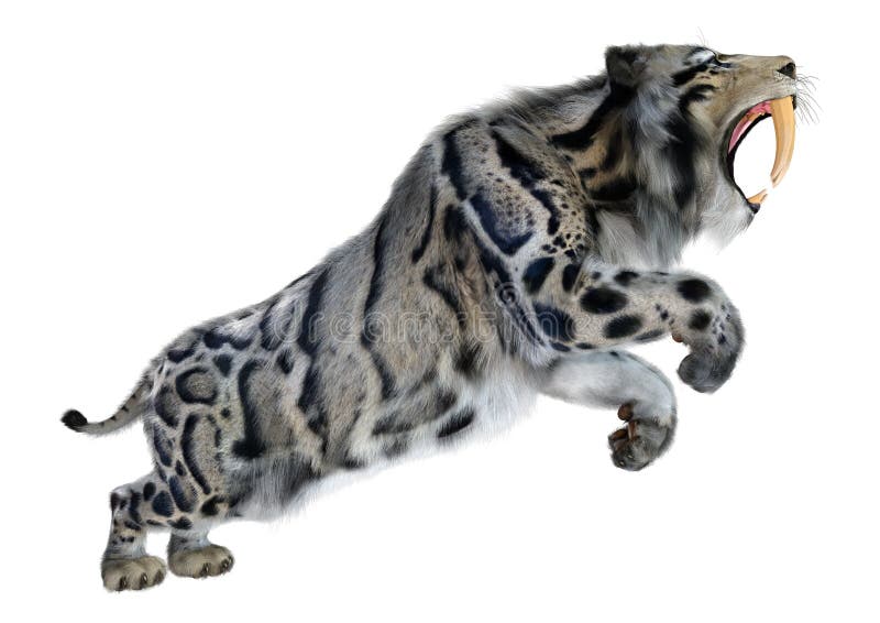 3d απόδοση τίγρης sabertooth σε λευκό απεικόνιση αποθεμάτων