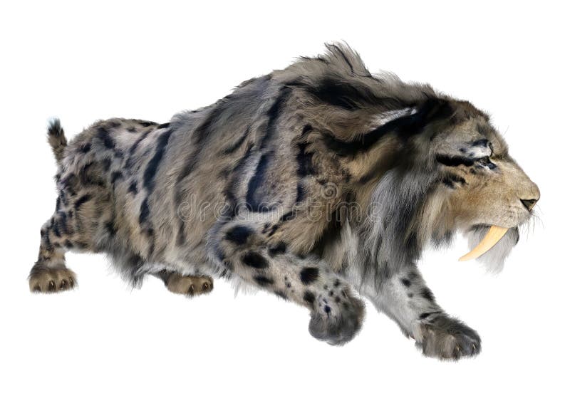 3d απόδοση τίγρης sabertooth σε λευκό απεικόνιση αποθεμάτων