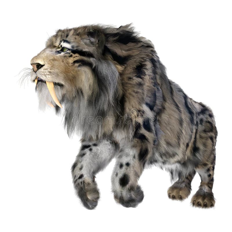 3d απόδοση τίγρης sabertooth σε λευκό απεικόνιση αποθεμάτων
