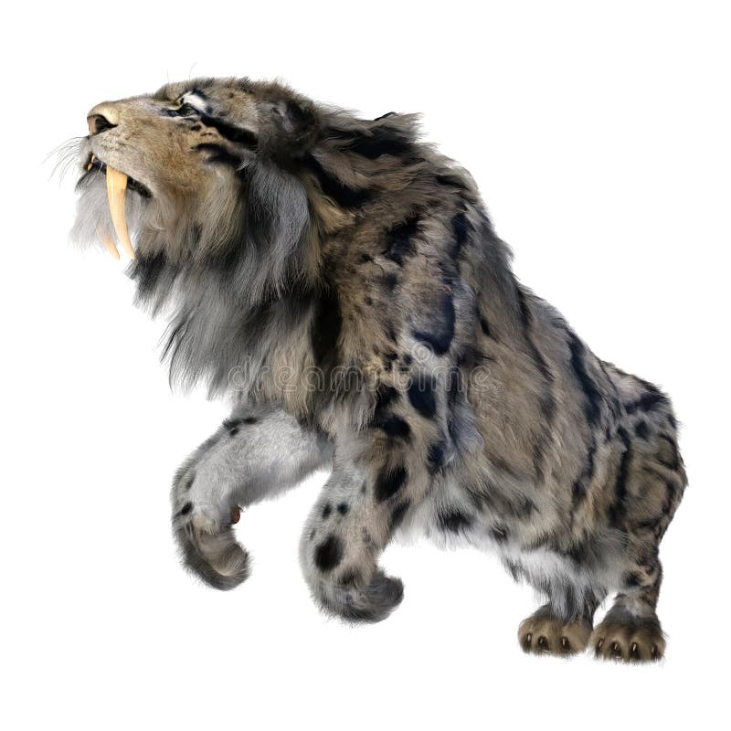 3d απόδοση τίγρης sabertooth σε λευκό απεικόνιση αποθεμάτων
