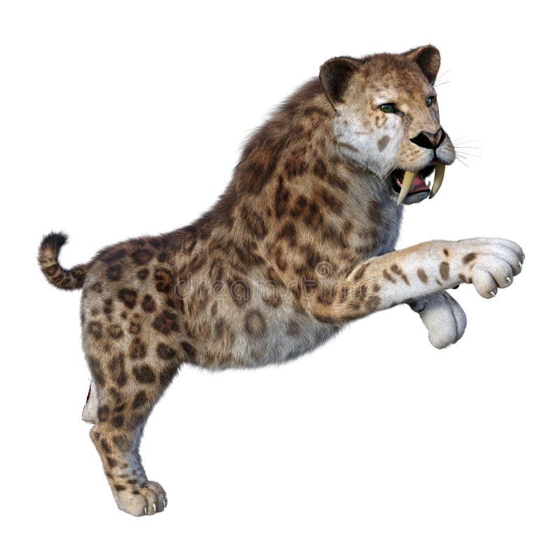 3d απόδοση τίγρης sabertooth σε λευκό ελεύθερη απεικόνιση δικαιώματος