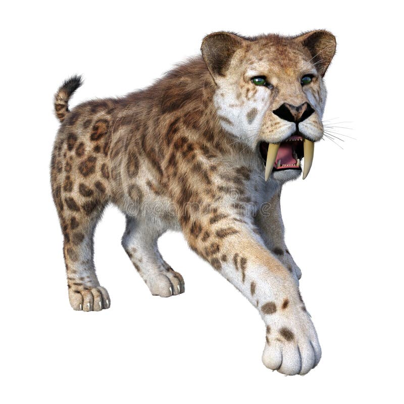 3d απόδοση τίγρης sabertooth σε λευκό διανυσματική απεικόνιση