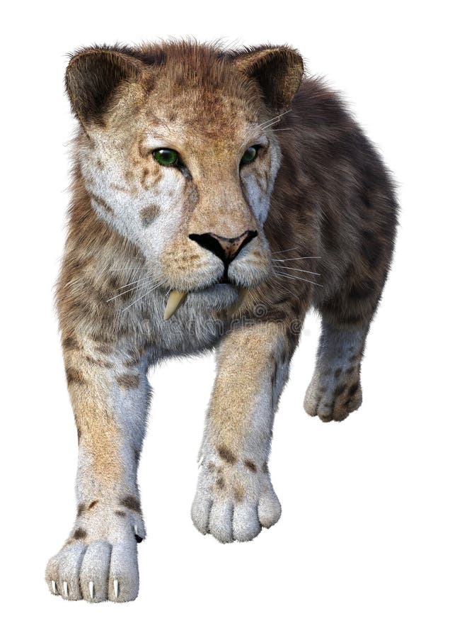 3d απόδοση τίγρης sabertooth σε λευκό απεικόνιση αποθεμάτων