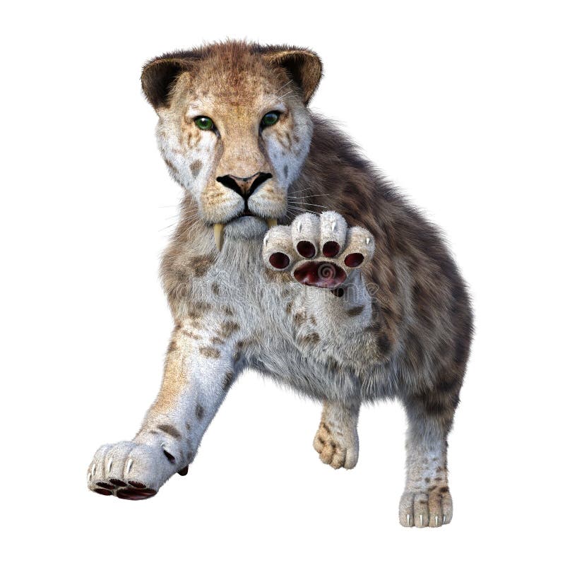 3d απόδοση τίγρης sabertooth σε λευκό απεικόνιση αποθεμάτων